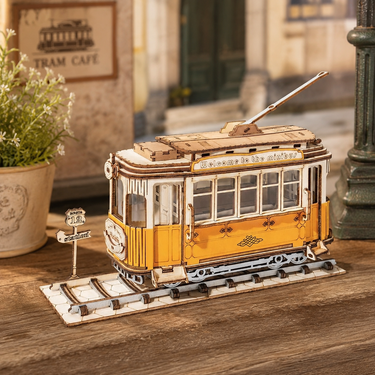 3D Wooden Puzzles
